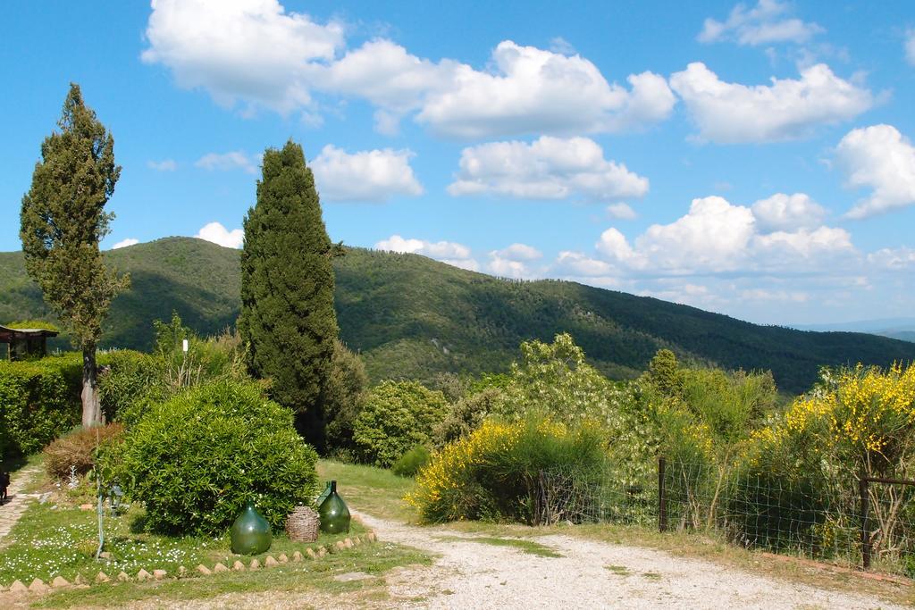 Casale Pundarika Riparbella Exterior foto